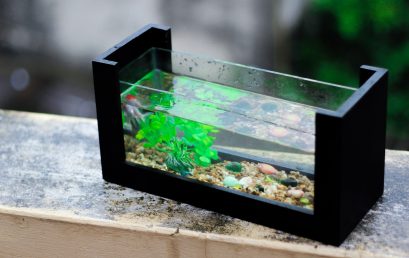 Du bac à un joli aquarium