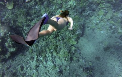 Le snorkeling : observer les poissons en toute sécurité